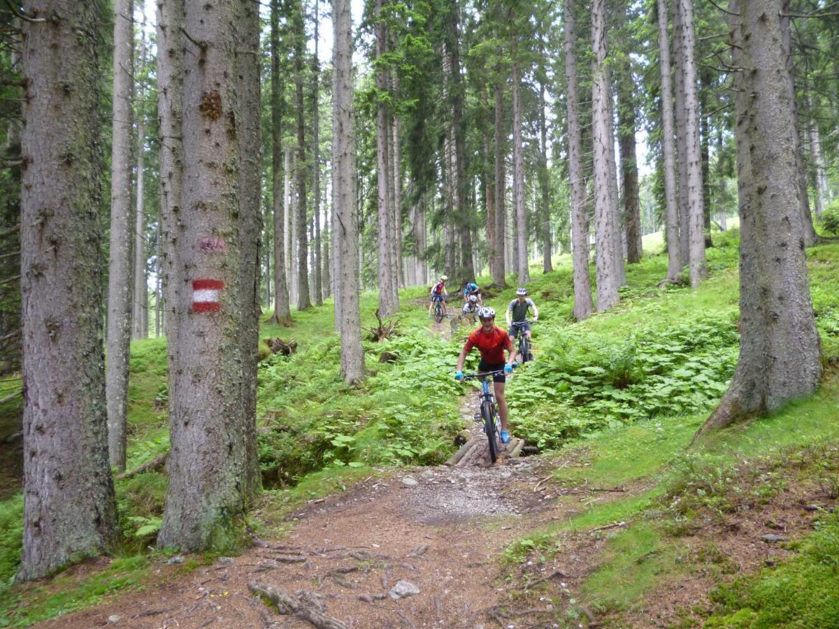 Harmls Aparthotel Flachau Eksteriør bilde